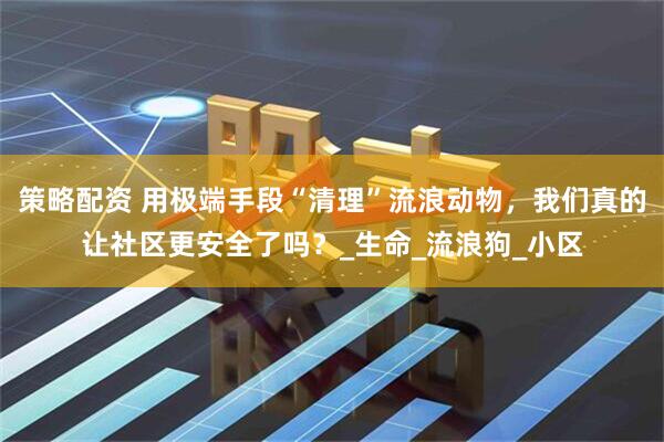 策略配资 用极端手段“清理”流浪动物，我们真的让社区更安全了吗？_生命_流浪狗_小区