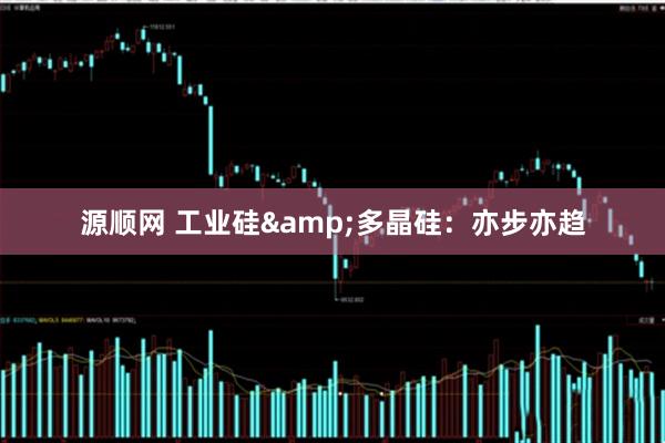 源顺网 工业硅&多晶硅：亦步亦趋