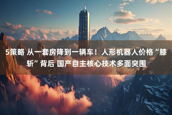 5策略 从一套房降到一辆车！人形机器人价格“膝斩”背后 国产自主核心技术多面突围
