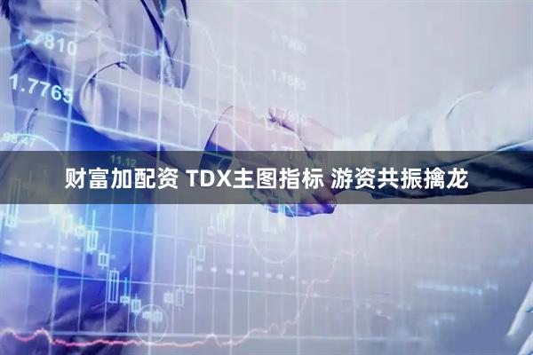 财富加配资 TDX主图指标 游资共振擒龙