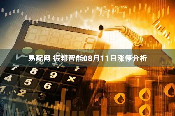 易配网 振邦智能08月11日涨停分析