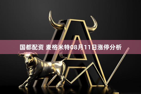 国都配资 麦格米特08月11日涨停分析